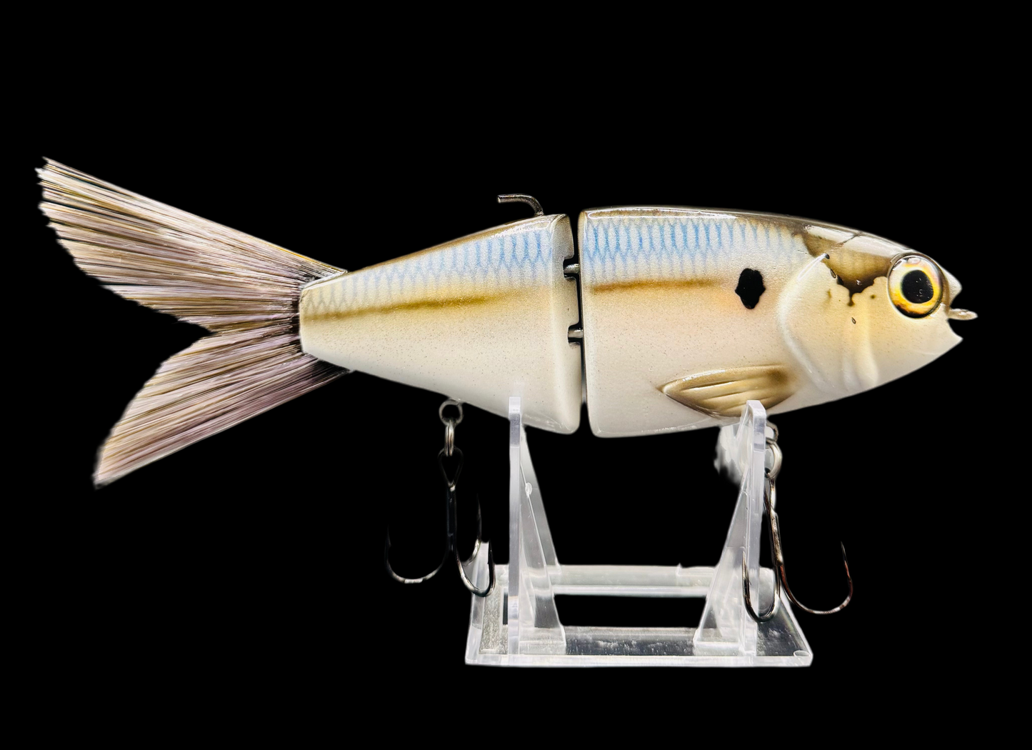 OG Willie 7” “Threadfin”