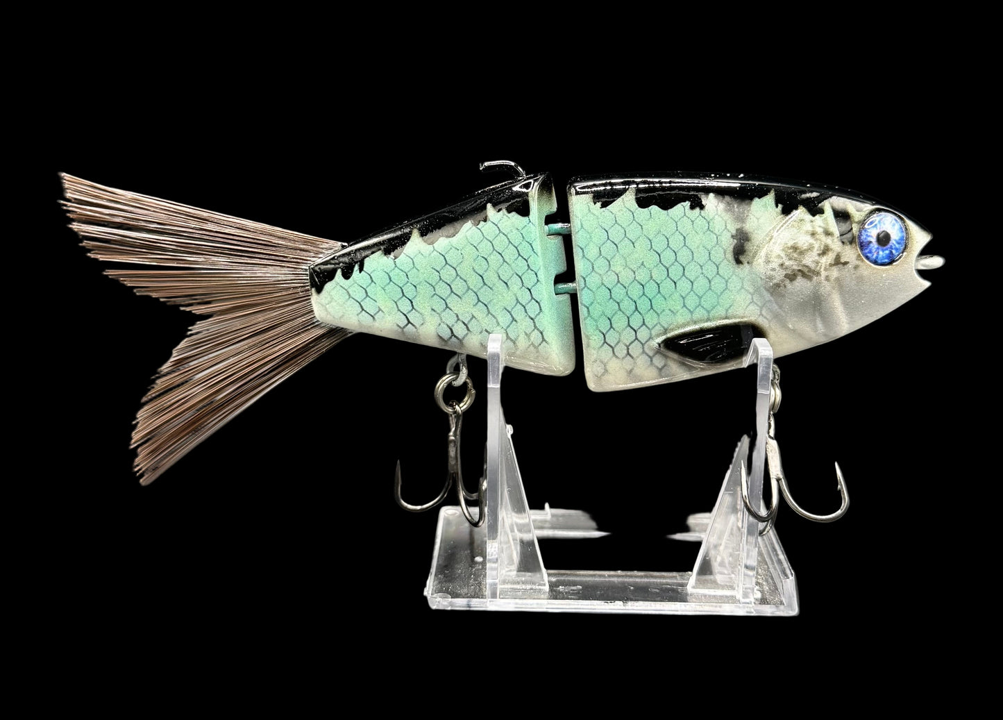 Lil Willie “Aqua Boogie Shad”