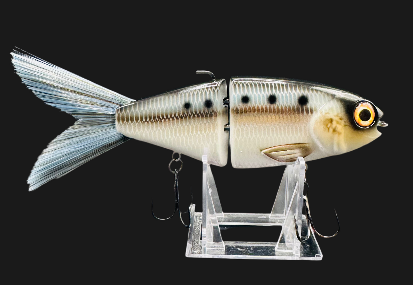 OG Willie 7” “American Shad”