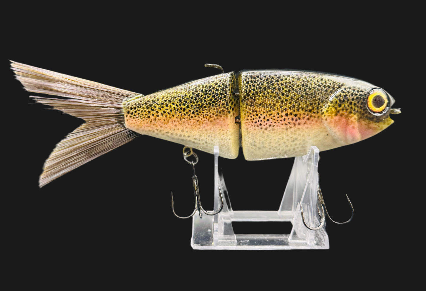 OG Willie 7” “Rainbow Trout”