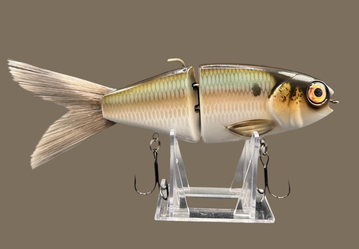 OG Willie 7” “Sage Gizzard Shad”