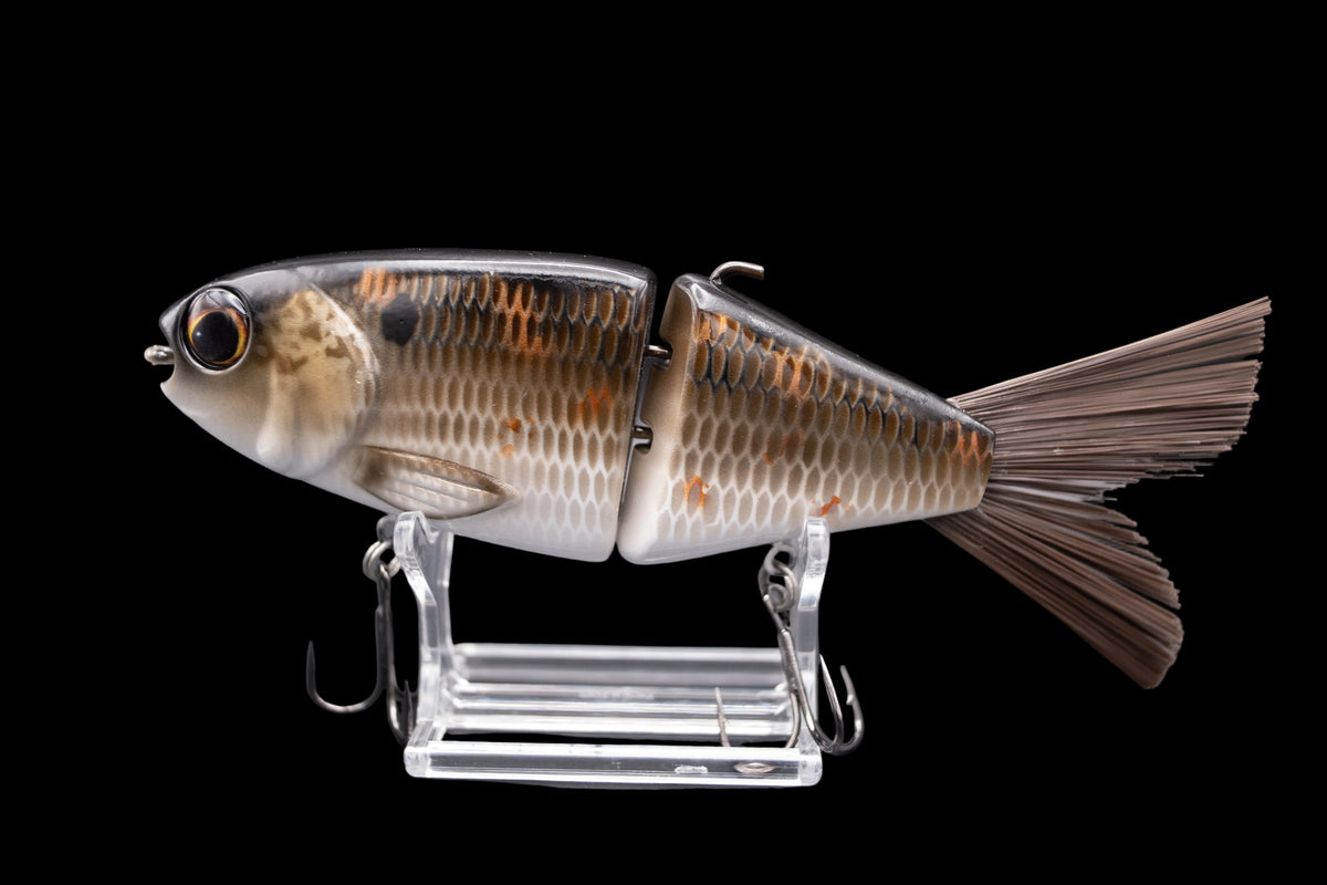 OG Willie 7” “Brown Gizzard Shad”