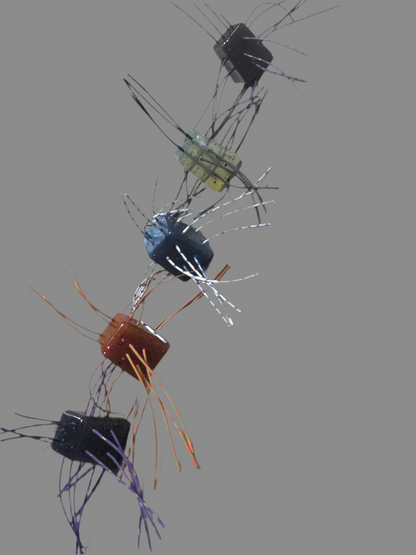 Crazy Dice 3/4” (5 Pack)