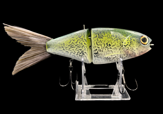 OG Willie 7” “Crappie”