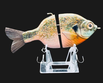 Outlaw Willie Gill “Rose Gill”