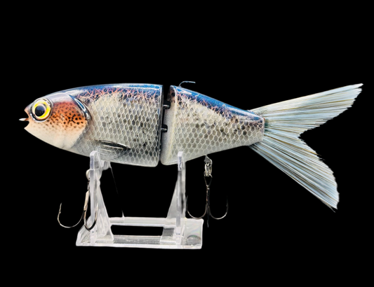 OG Willie 7” “Ghost Shad”