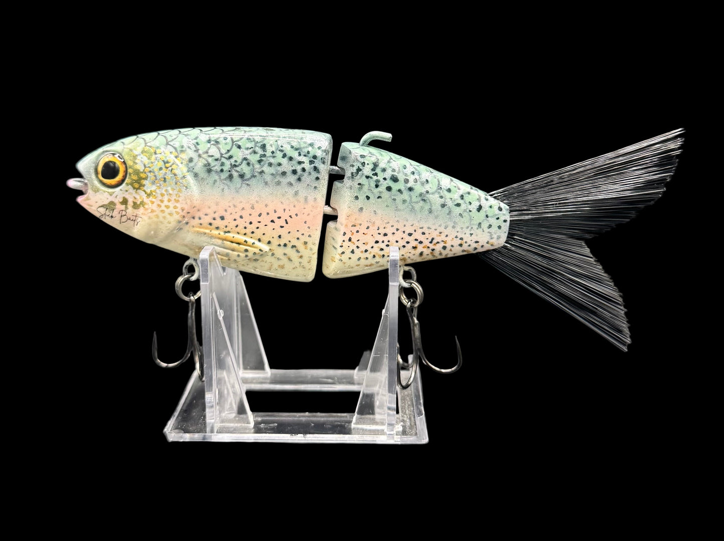 Lil Willie “Rainbow Trout”