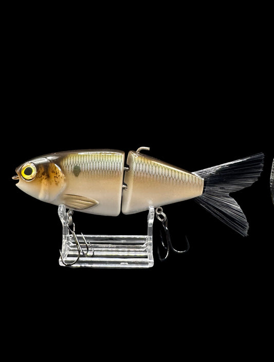 OG Willie 7” “Sage Gizzard Shad”