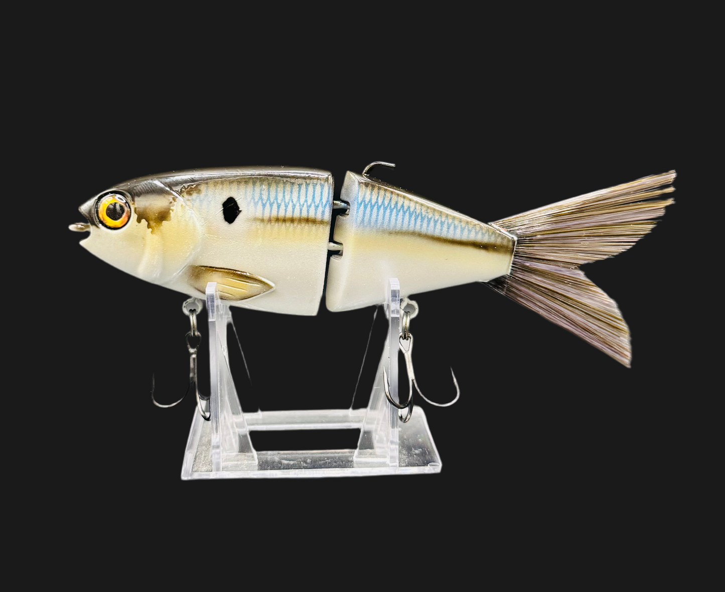 Lil Willie “Threadfin”