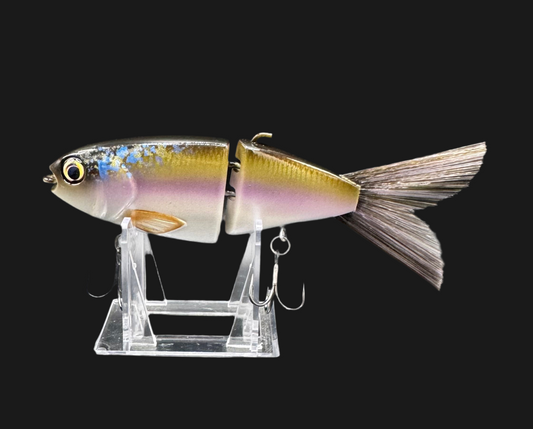 Lil Willie “Rainbow Smelt”