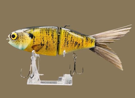 OG Willie 7” “Summer Gill”