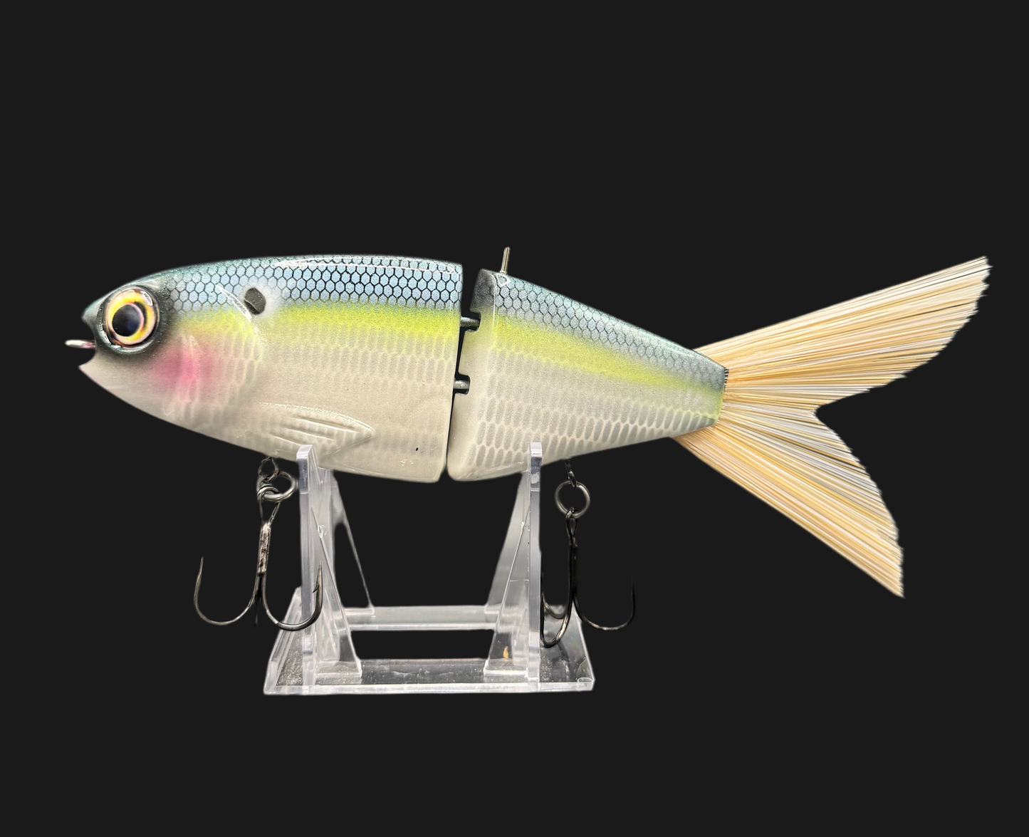 OG Willie 7” “Sexy Shad”