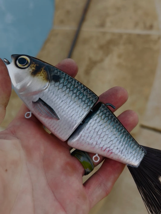 OG Willie 7” “Knoxville Shad”