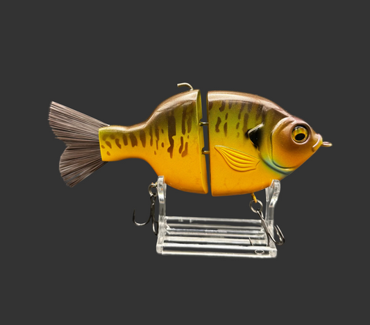 Outlaw Willie Gill “Pond Boss Gill”