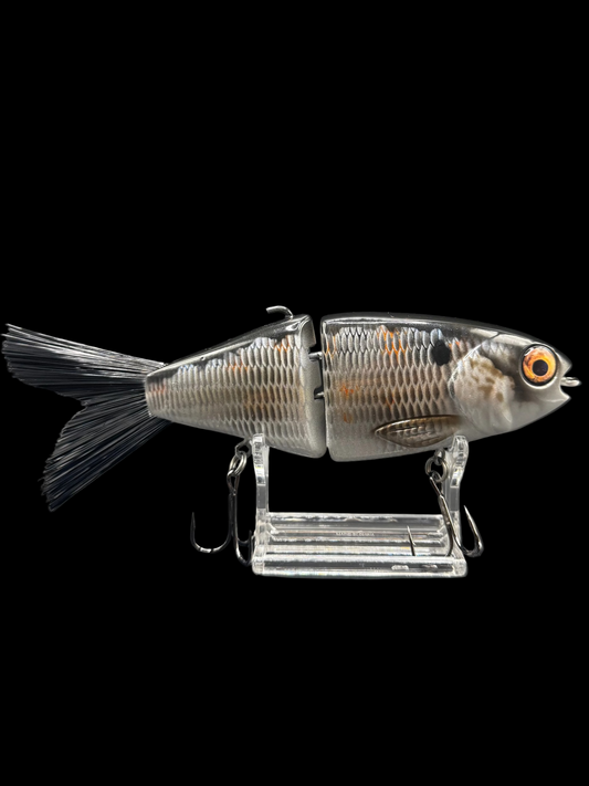 OG Willie 7” “Gizzard Shad”