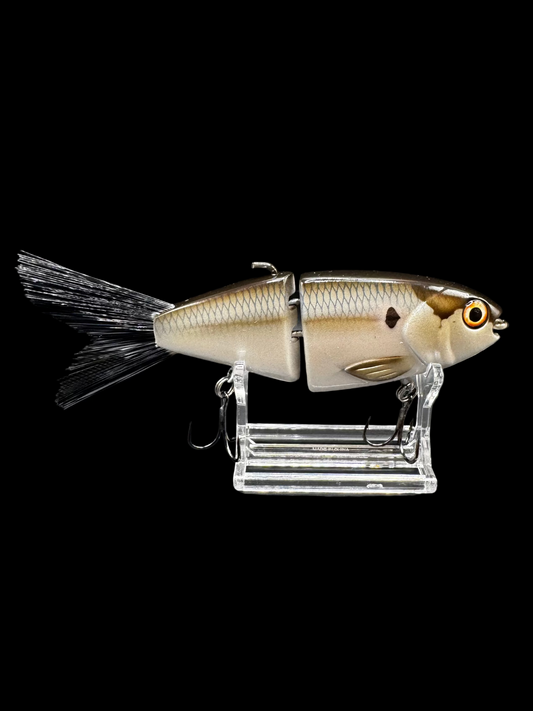 Lil Willie “Threadfin”