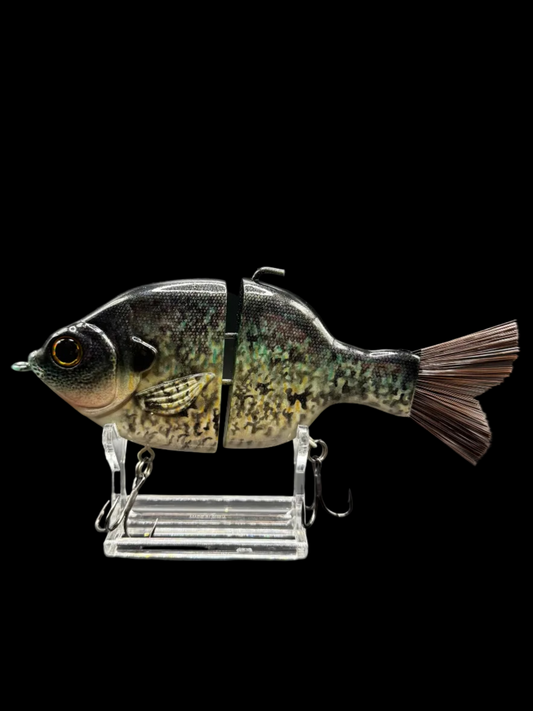 Outlaw Willie Gill “NP Crappie”