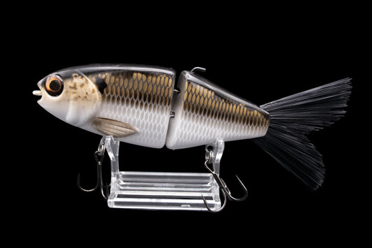 OG Willie 7” “Golden Shad”