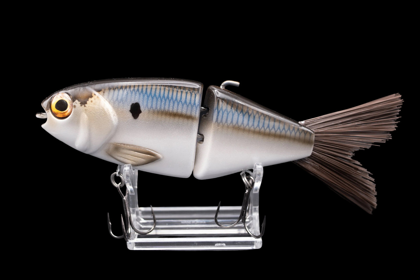 OG Willie 7” “Threadfin”