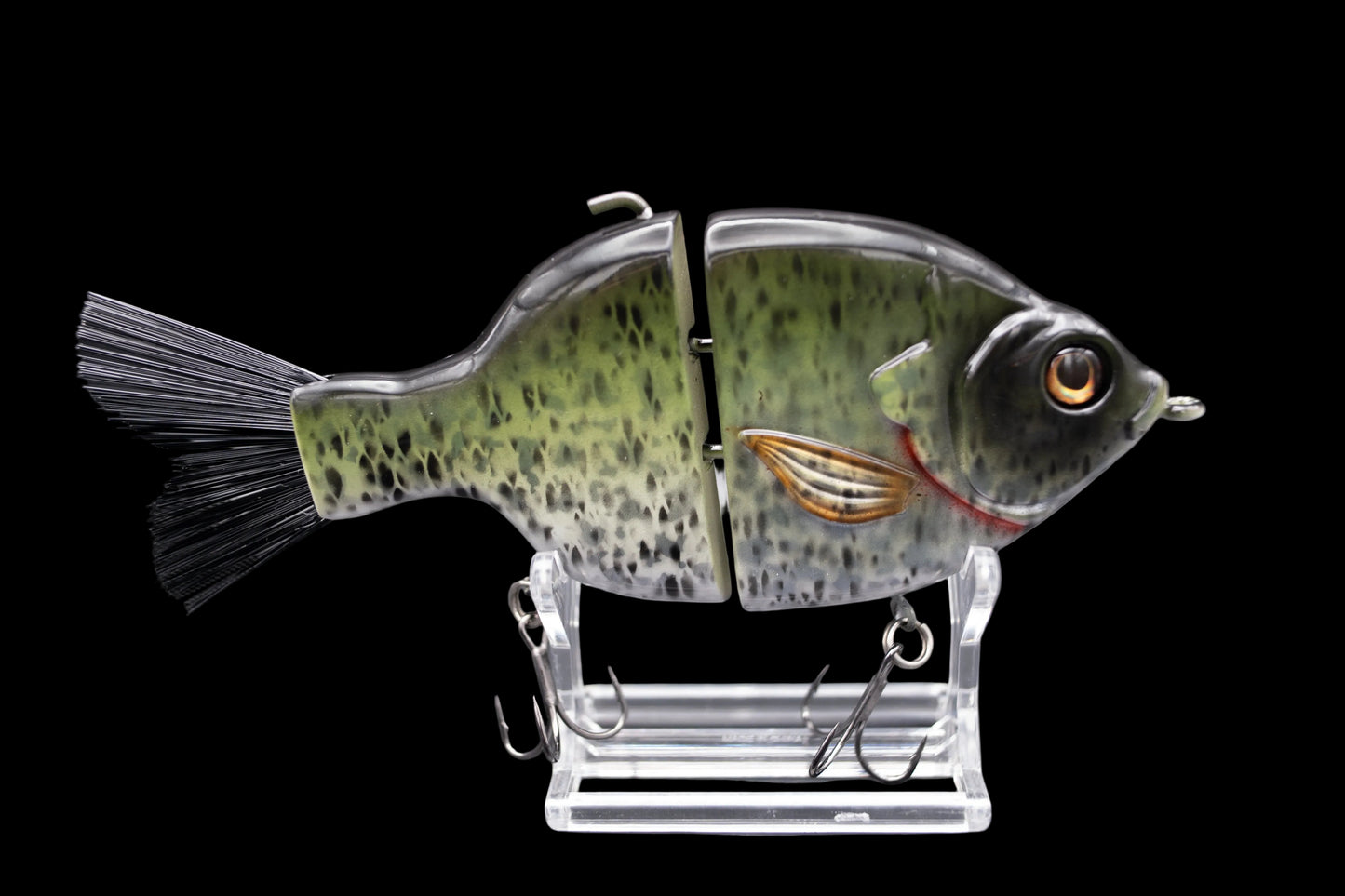 Outlaw Willie Gill “Christa’s Black Crappie”