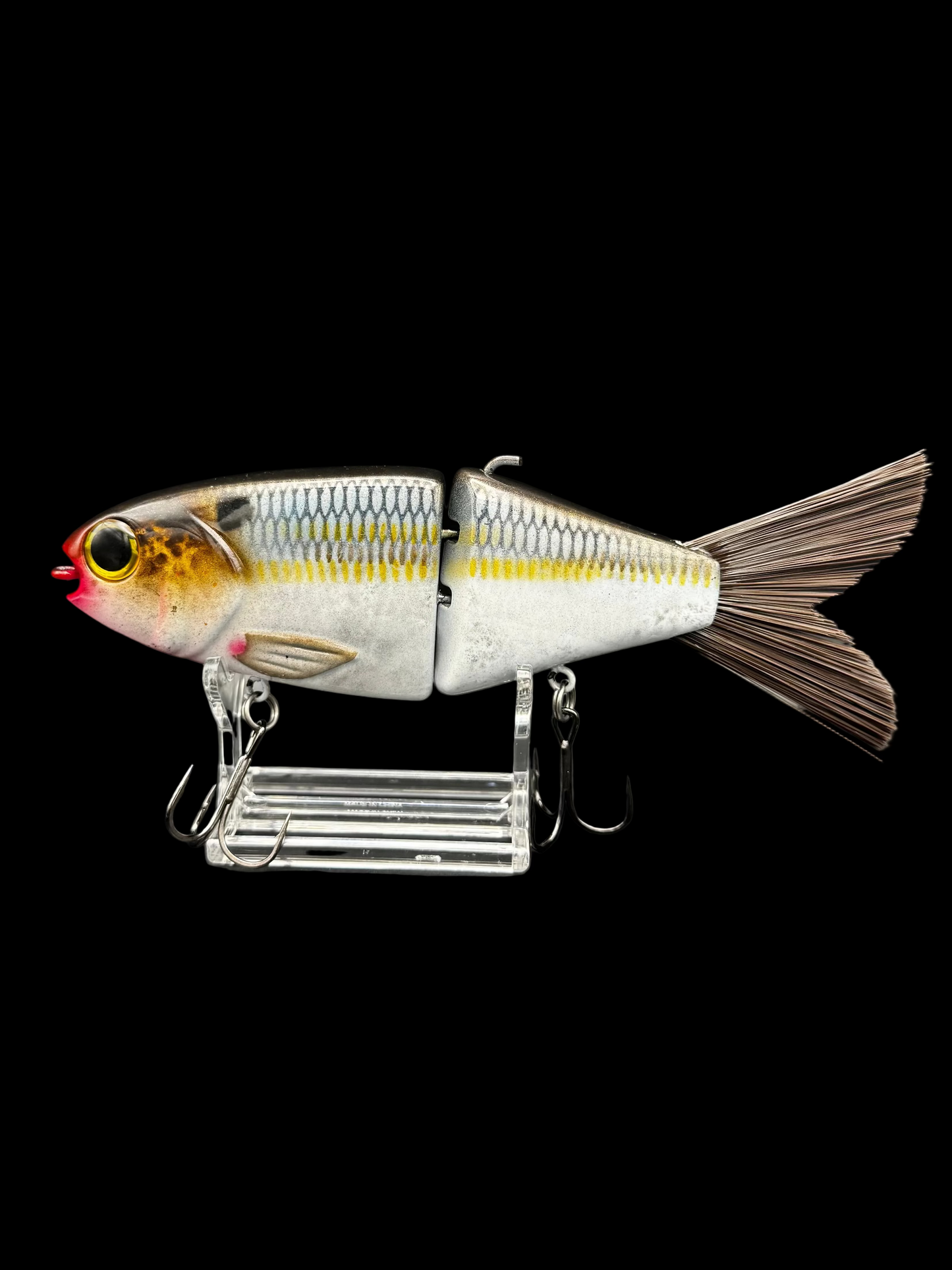 OG Willie 7” “Grand Lake Gold”