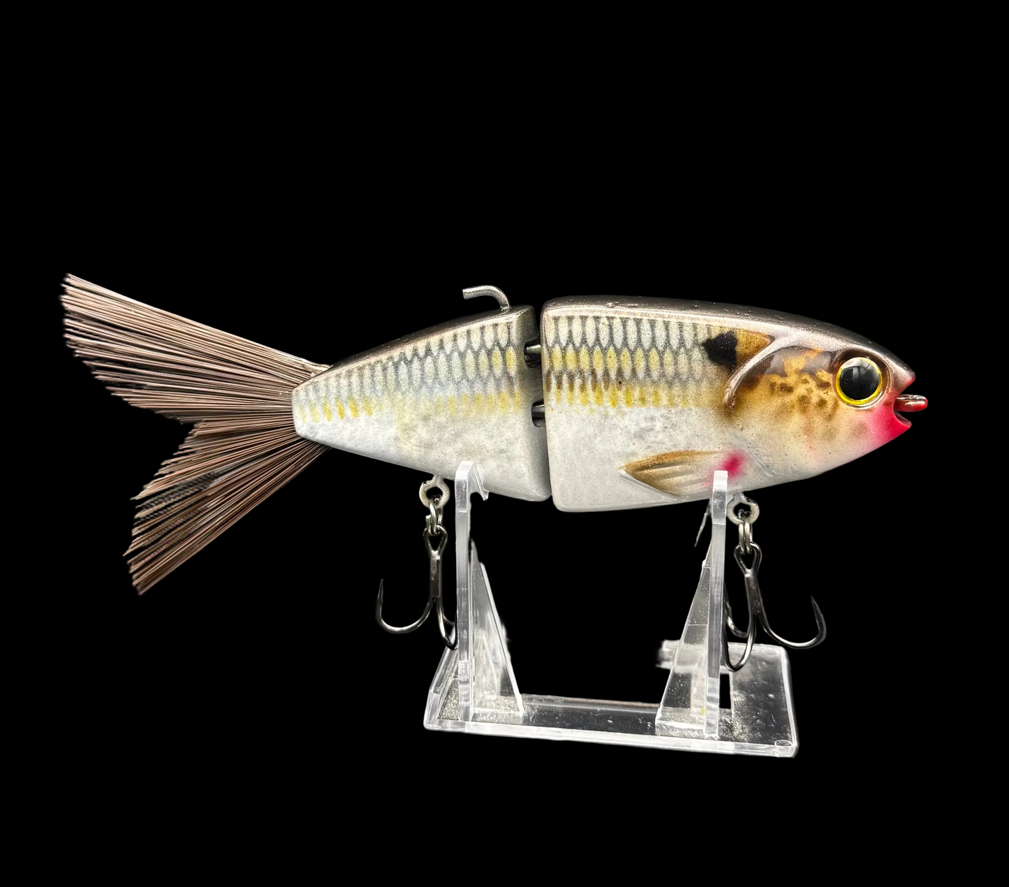 Lil Willie “Grand Lake Gold”