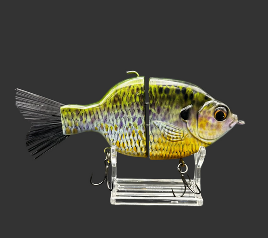 Outlaw Willie Gill “Table Rock Gill”