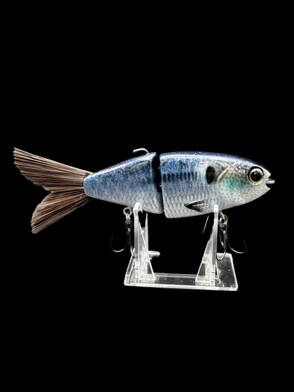 Lil Willie “Specter Shad”